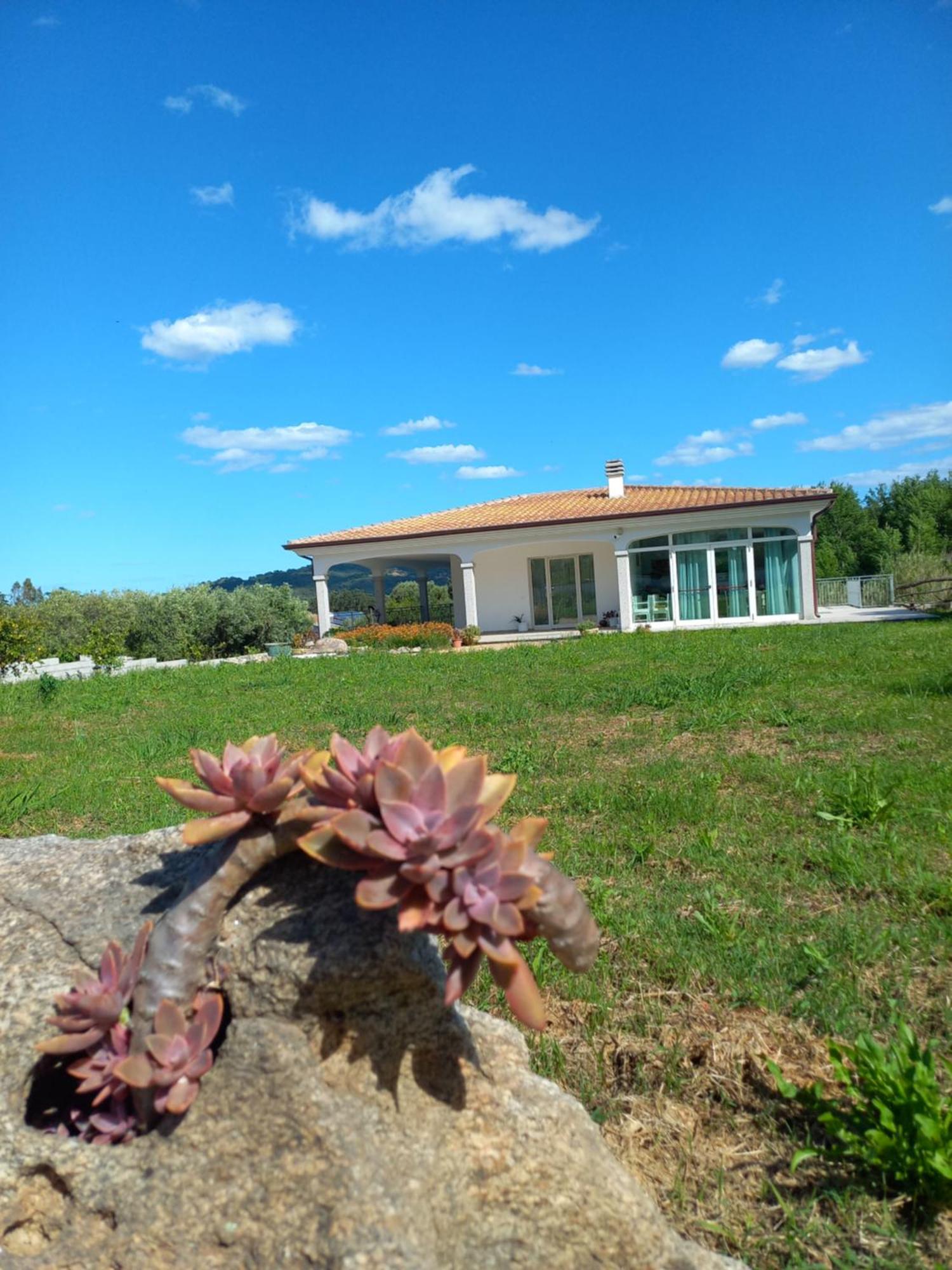 Agriturismo B&B Mares E Montes De Marrante Siniscola Eksteriør bilde