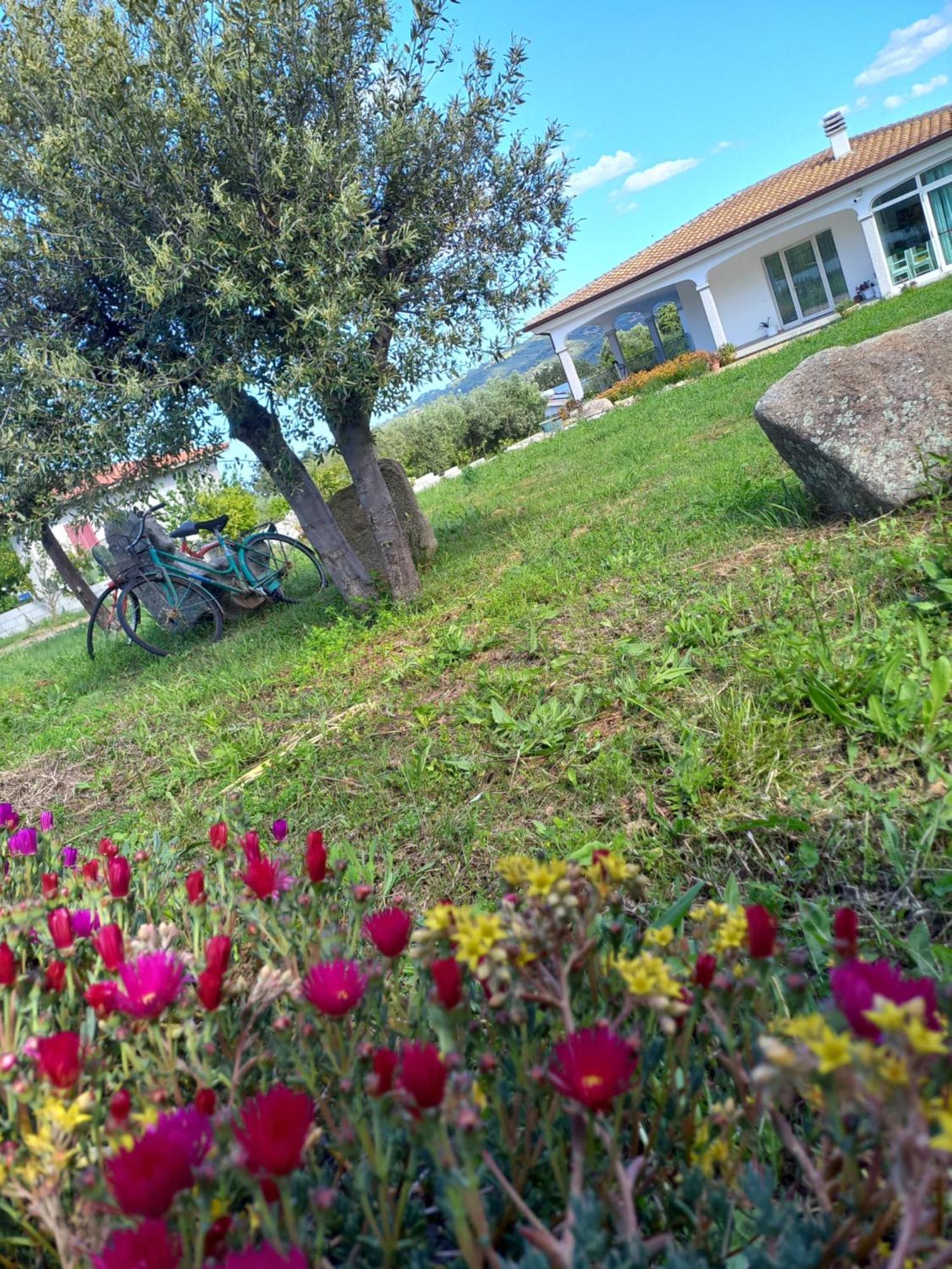 Agriturismo B&B Mares E Montes De Marrante Siniscola Eksteriør bilde